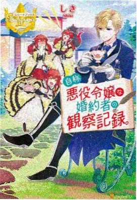 萤火虫之墓完整版在线观看海报